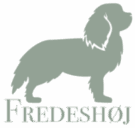 Fredeshoej